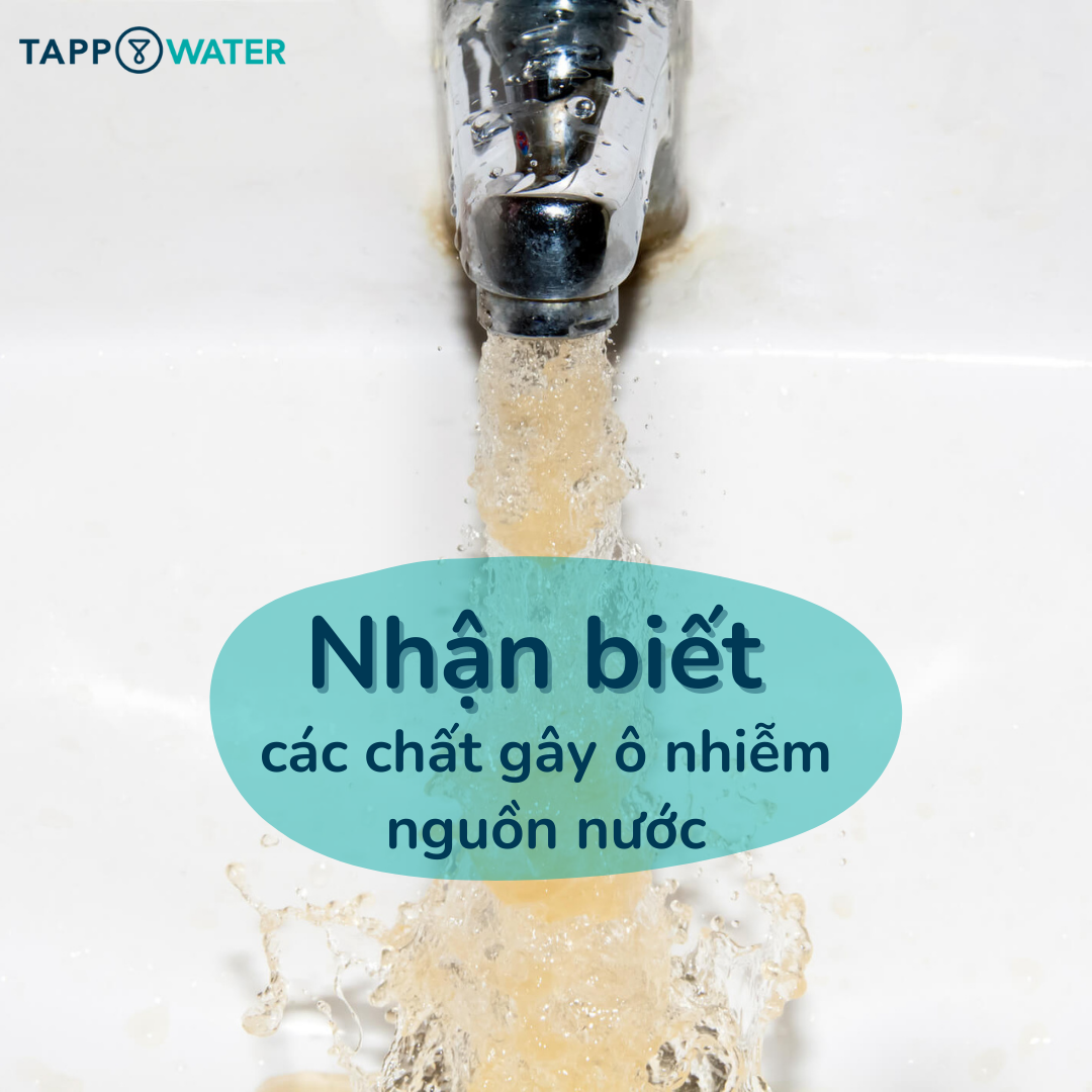 Nước sinh hoạt hằng ngày của bạn liệu có an toàn?